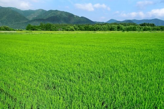 田園風景