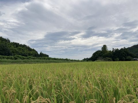 2025年12月11日開催「農家のリアル（仮）」講師：菅野芳秀氏（百姓・置賜自給圏推進機構共同代表）