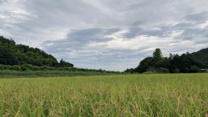 里山の田園風景
